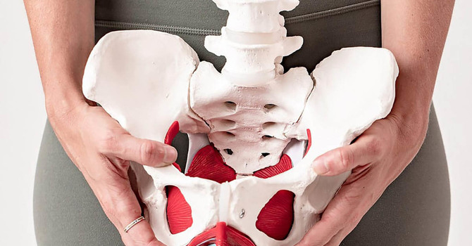 Pelvic Health Physiotheapy