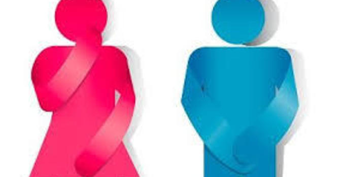 The Mysteries of Pelvic Health Physiotherapy